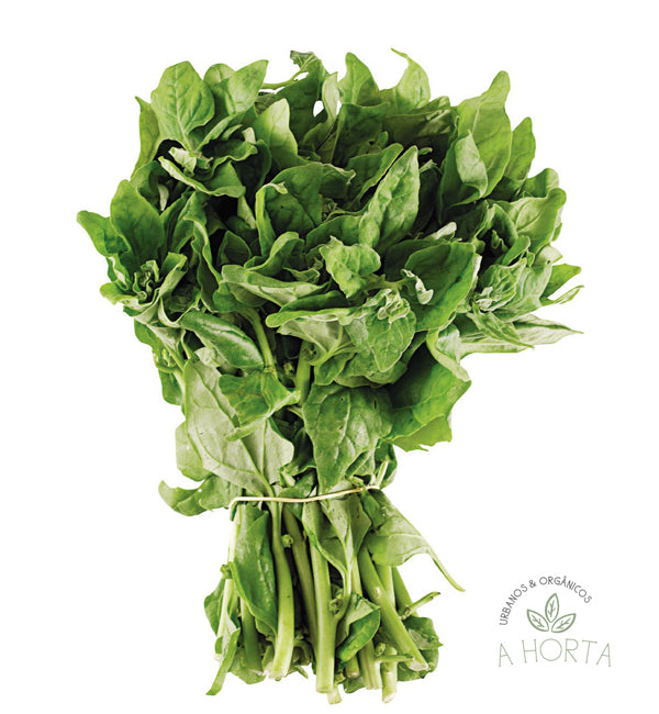 Espinafre Maço - Horta