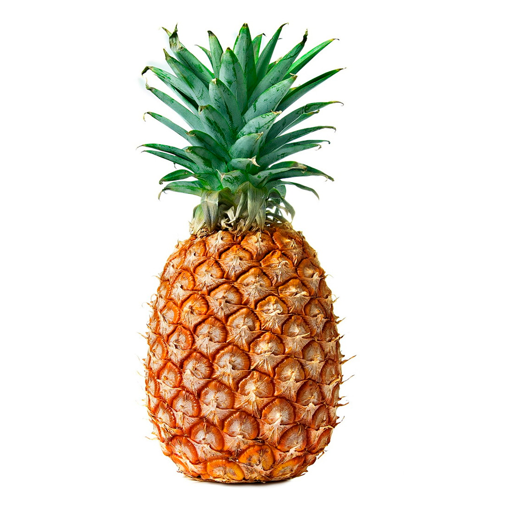 Abacaxi Pérola - Horta