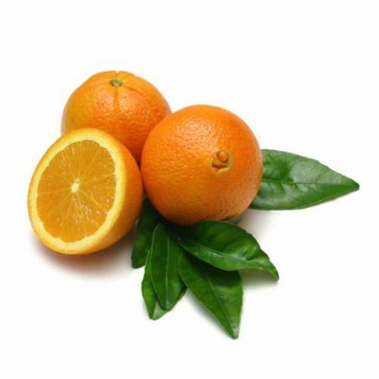 Laranja Bahia 1kg - Horta